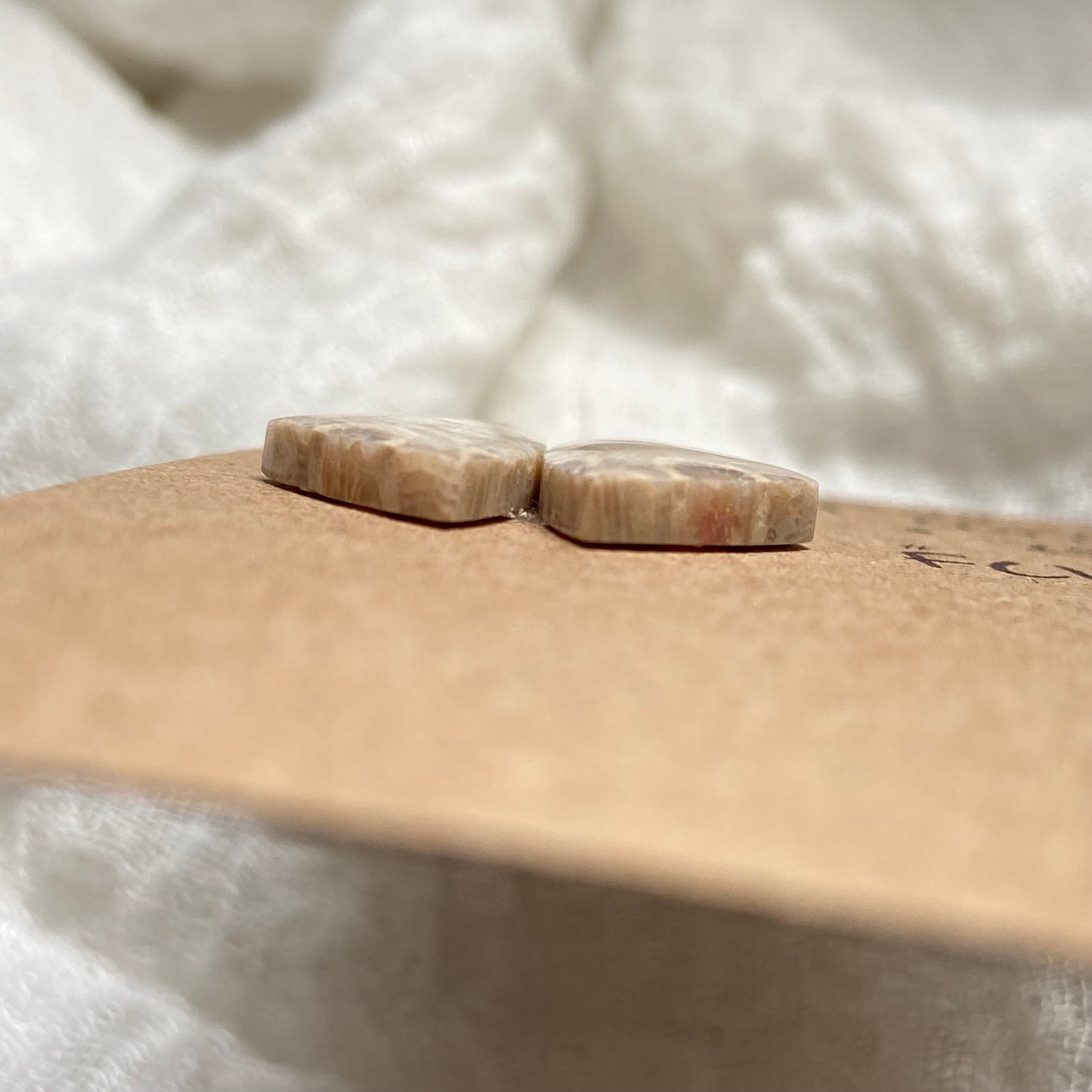 Fossil Coral Cabochon - FC124