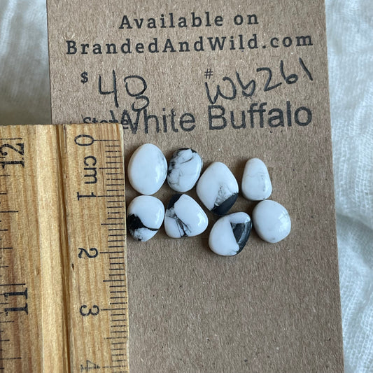 White Buffalo Cabochon - WB261