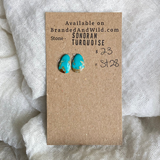 Sonoran Turquoise Cabochon - ST28