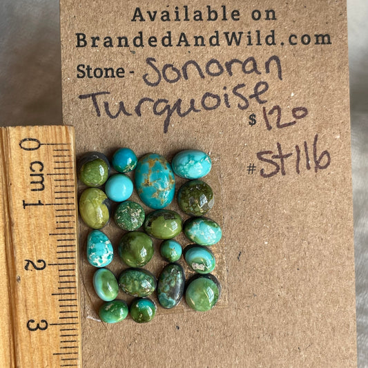 Sonoran Turquoise Cabochon - ST116
