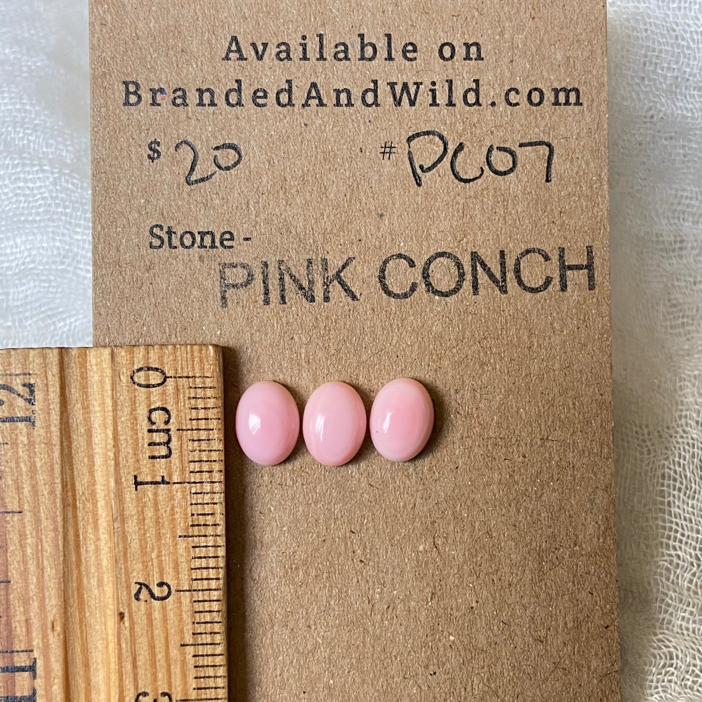 Pink Conch Cabochon - PC07 ACA78193-055B-4D62-A82F-03891111DF7A Brandedandwild.com