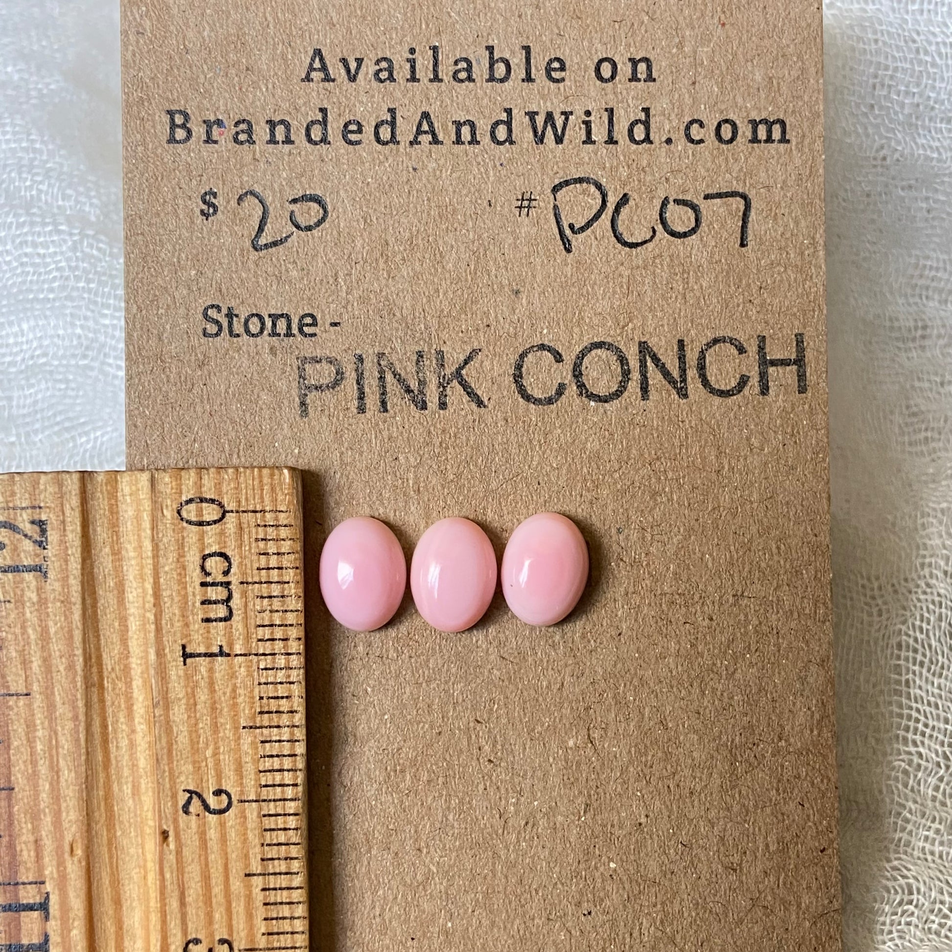 Pink Conch Cabochon - PC07 ACA78193-055B-4D62-A82F-03891111DF7A Brandedandwild.com