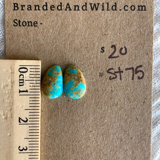 Sonoran Turquoise Cabochon - ST75