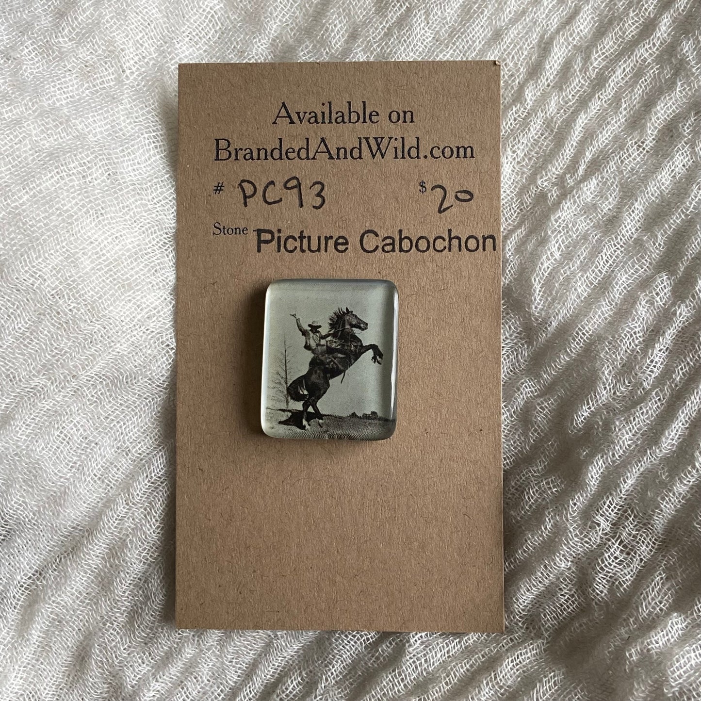 Picture Cabochon - Cabochon - PC93 ACAD9791-1011-43C5-BBEC-24B0C324F709 Brandedandwild.com