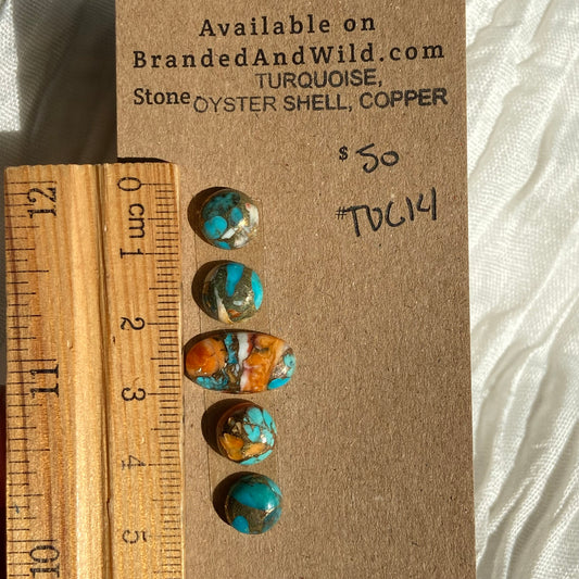 Turquoise, Oystershell, Copper Cabochon - TOC14 ACD7CE20-1484-43C6-8CAB-98F6C93E56D2 Brandedandwild.com
