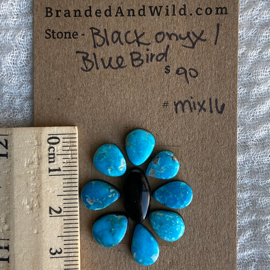 Blue Bird - Black Onyx Cabochon - MIX16