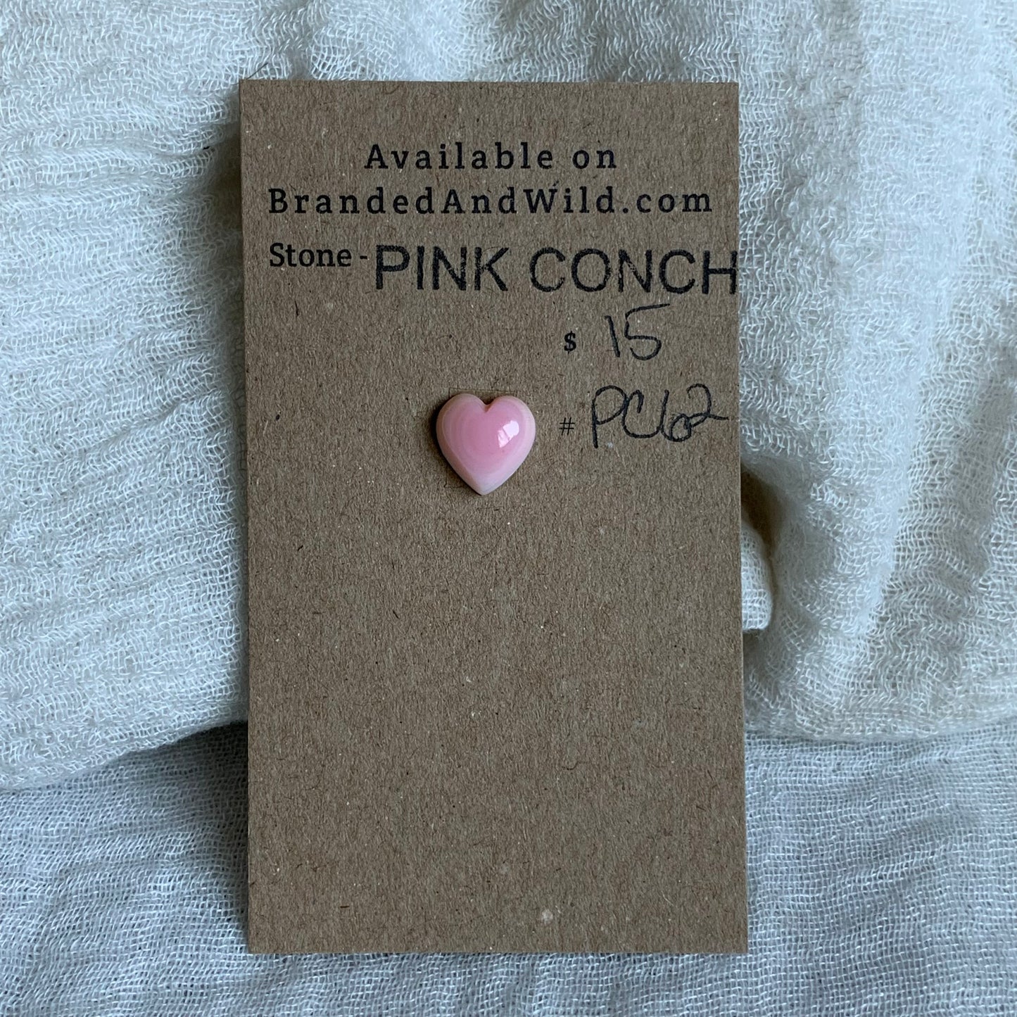 Pink Conch Cabochon - PC62