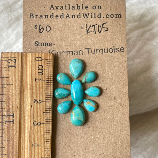 Kingman Turquoise Cabochon - KT05 AD304DD7-398B-419E-B610-AC8C0141F9CA Brandedandwild.com