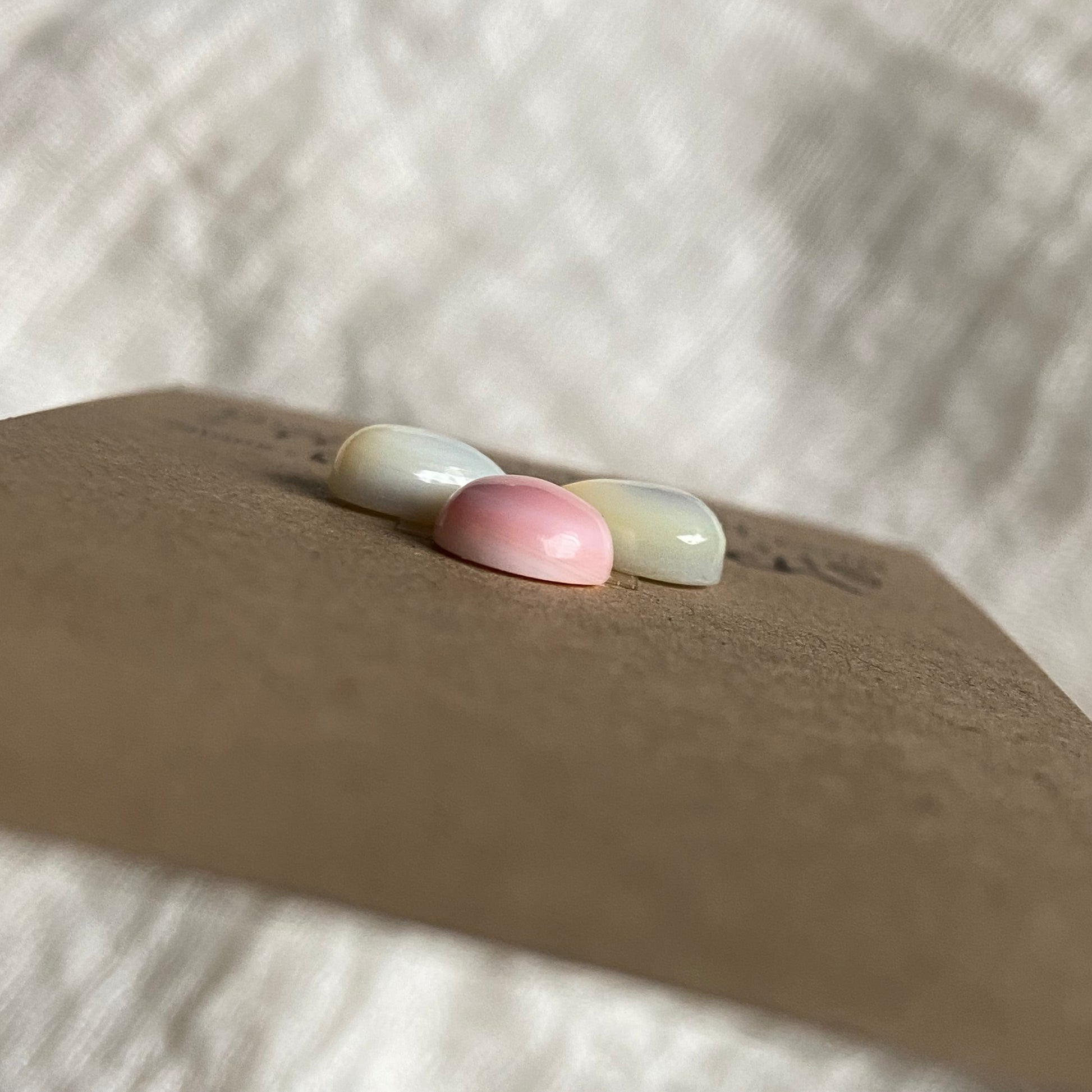 Pink Conch Mix Cabochon - MIX147 AD470998-C835-48D0-8C9A-14EF94A128D6 Brandedandwild.com