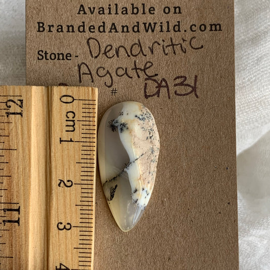 Dendritic Agate Cabochon - DA31