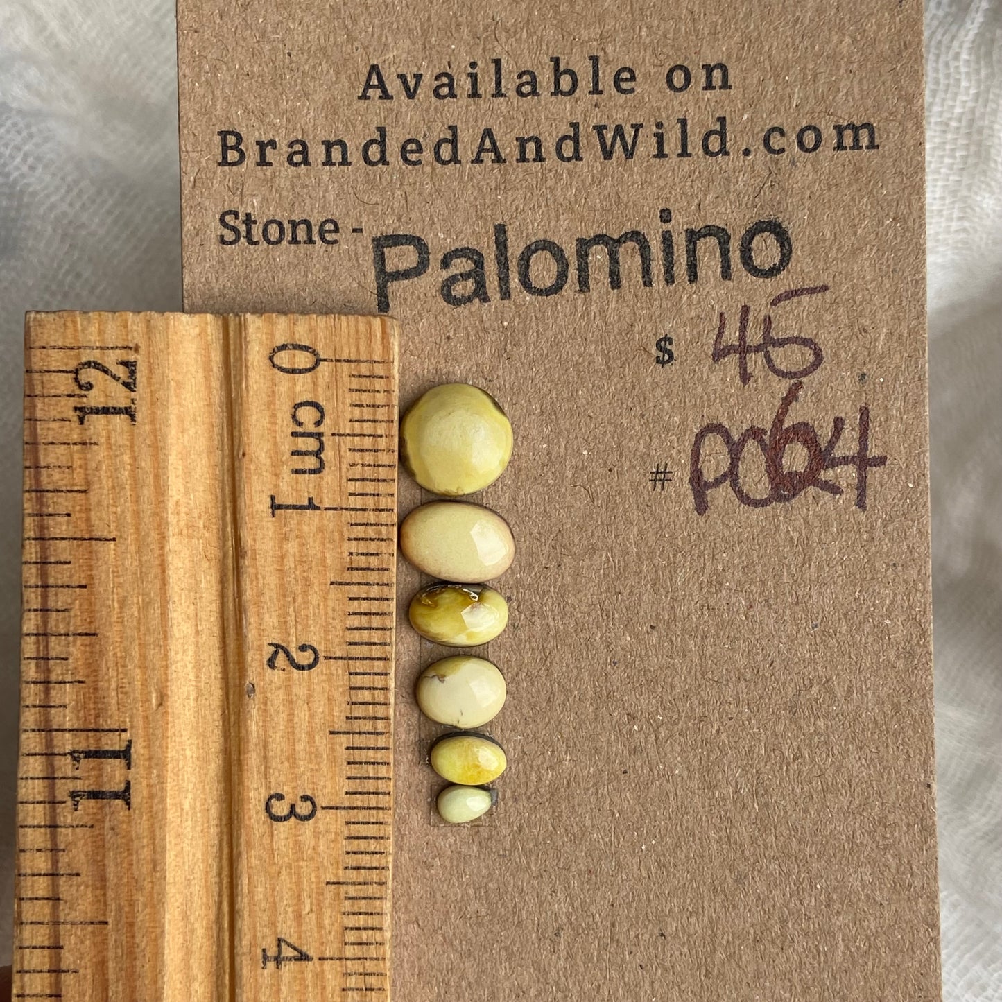 Palomino Cabochon - P064