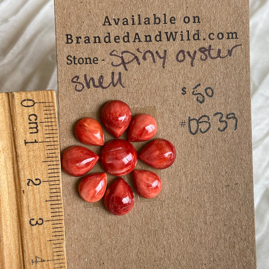 Oystershell Cabochon - OS39 AD783DB1-1E4F-4FFB-B2D8-43DBE9542FC4 Brandedandwild.com