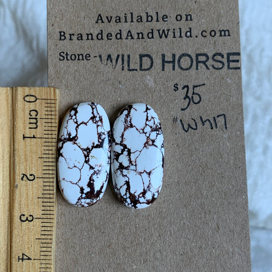 Wild Horse Cabochon - WH17