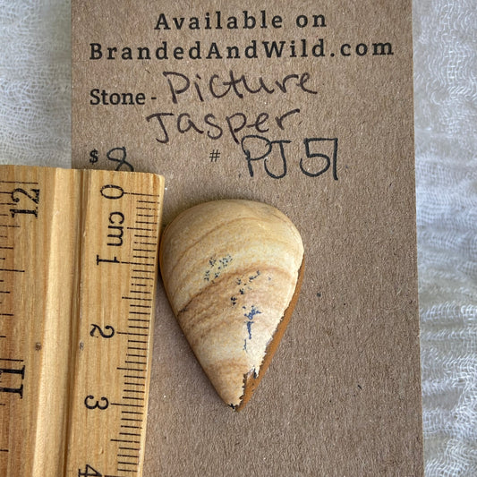 Picture Jasper Cabochon - PJ51