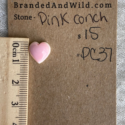 Pink Conch Cabochon - PC37