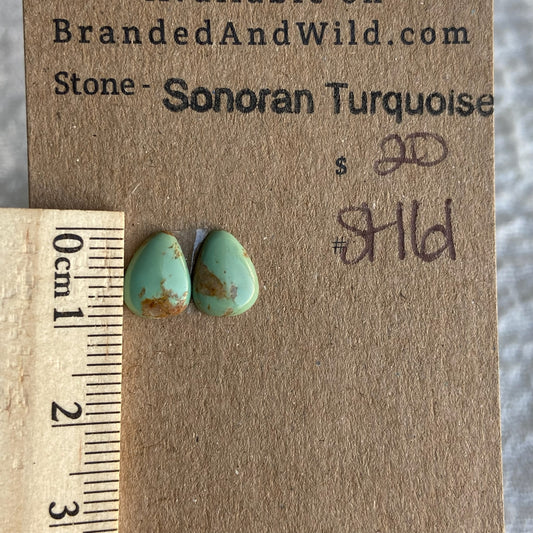 Sonoran Turquoise Cabochon - ST161
