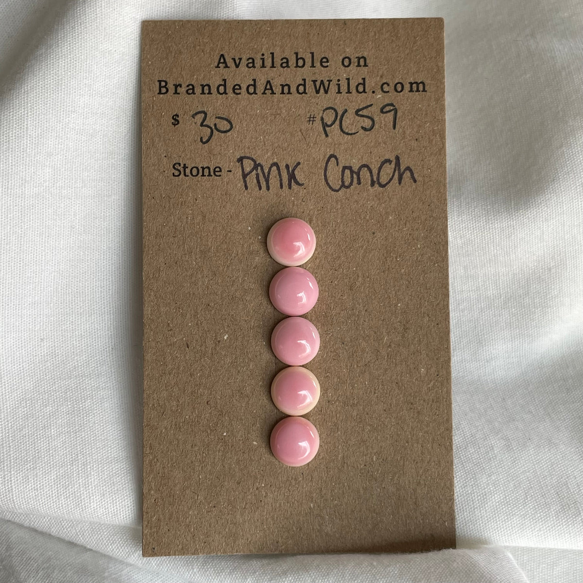 Pink Conch Cabochon - PC59 ADB2EED0-998A-4DD1-B5DB-81CC4B0F0414 Brandedandwild.com