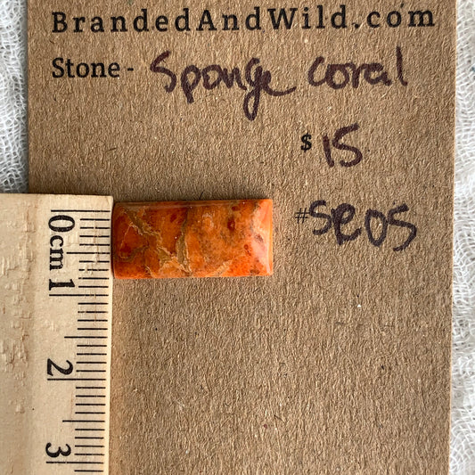 Sponge Coral Cabochon - SC05
