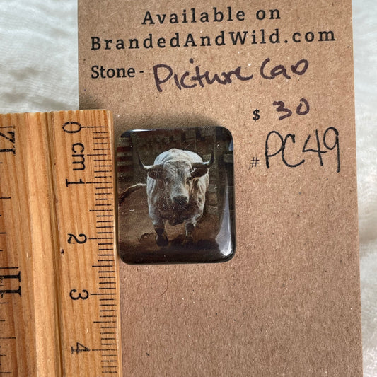 Picture Cabochon - Cabochon - PC49 ADDC7450-DD31-4854-ACE7-67CCFA22F9EA Brandedandwild.com