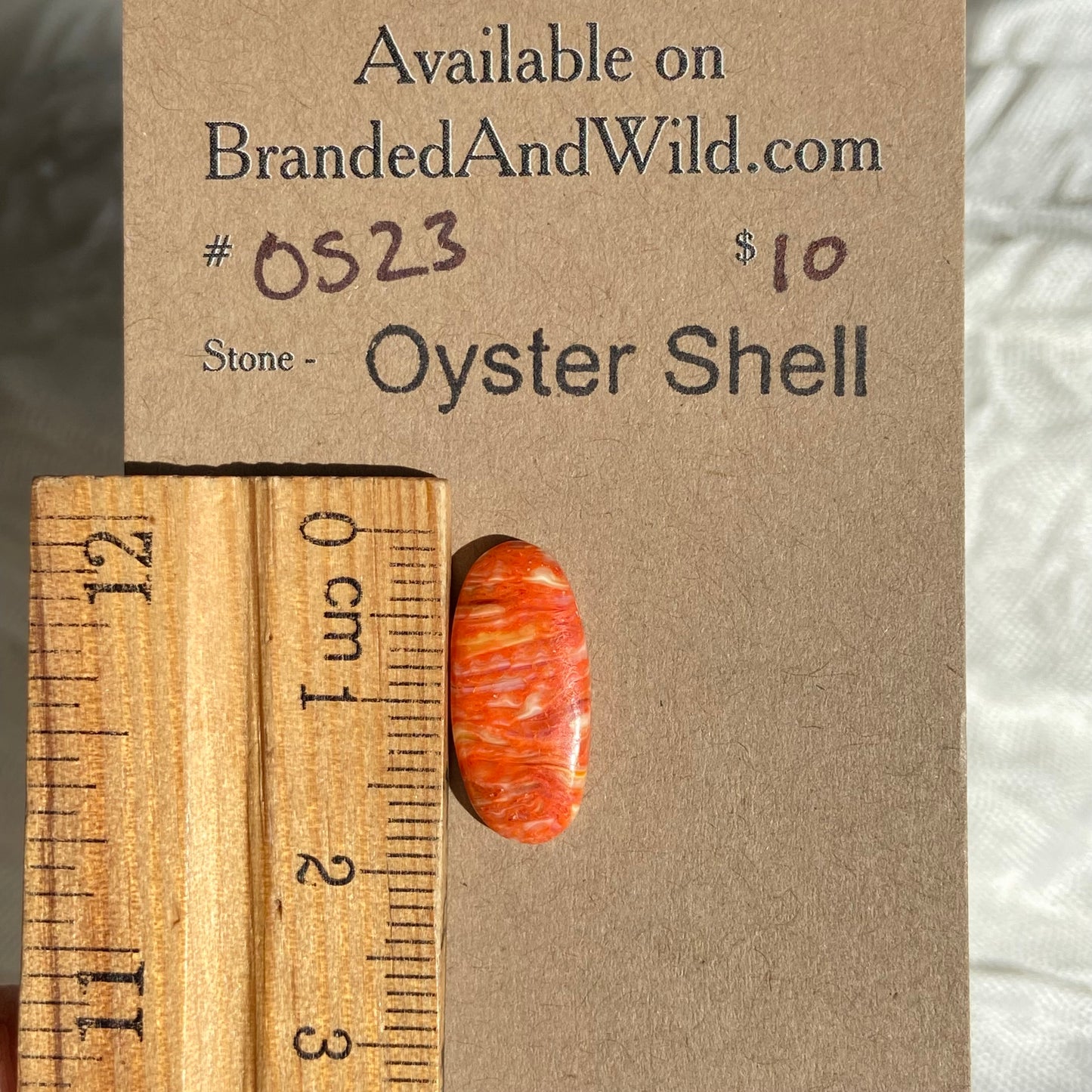 Oystershell Cabochon - OS23 AE229AF5-3DF3-444E-8E56-8C9E4ACF7BB3 Brandedandwild.com