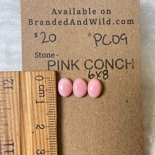 Pink Conch Cabochon - PC09 AE2C1734-597D-46F8-993B-A6C9068EC188 Brandedandwild.com