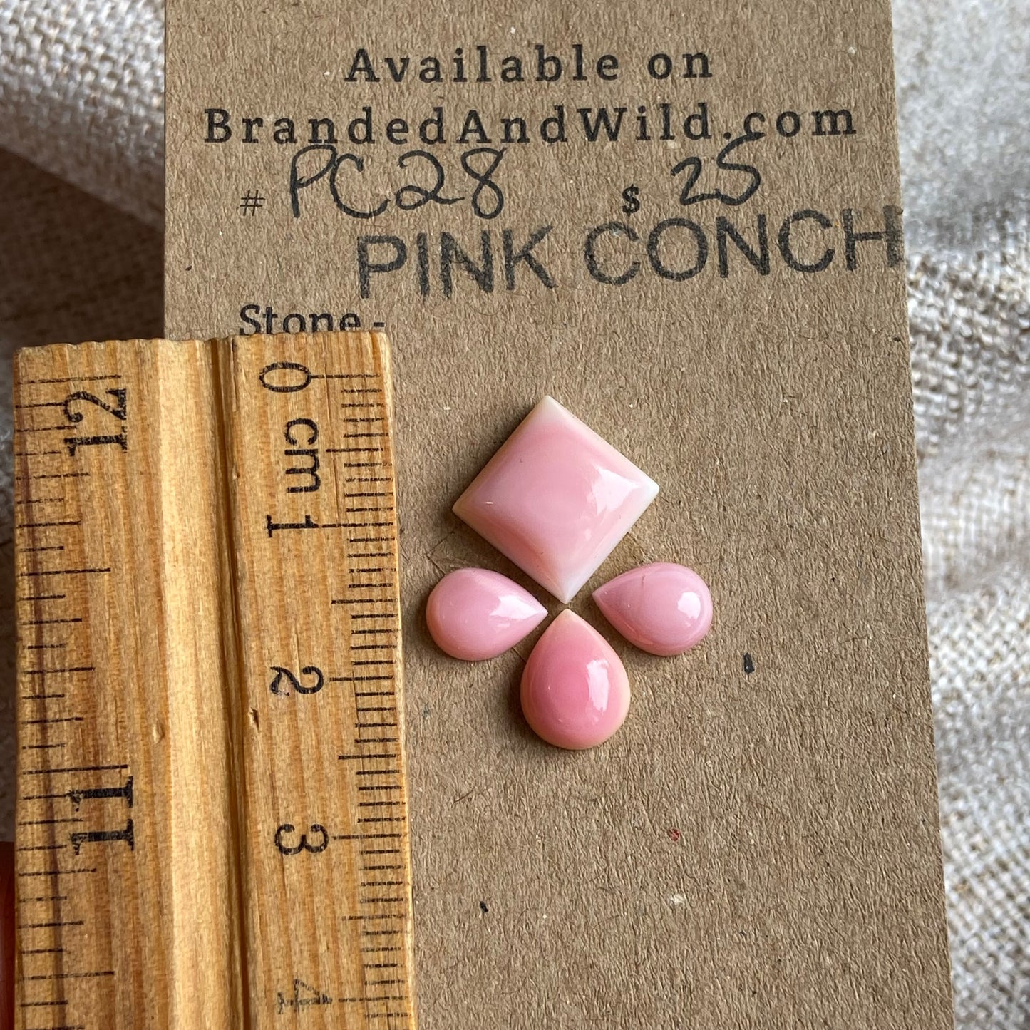 Pink Conch Cabochon - PC28 AEB20042-747E-4CE1-89F3-E962DFE106B1 Brandedandwild.com