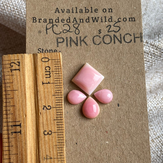 Pink Conch Cabochon - PC28 AEB20042-747E-4CE1-89F3-E962DFE106B1 Brandedandwild.com