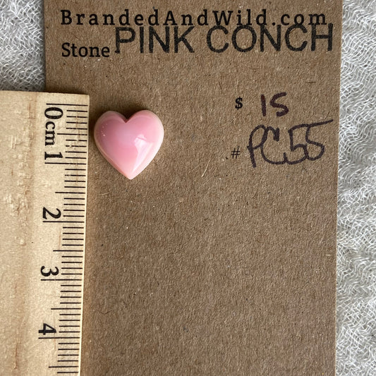 Pink Conch Cabochon - PC55