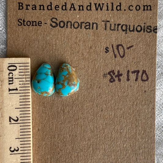 Sonoran Turquoise Cabochon - ST170