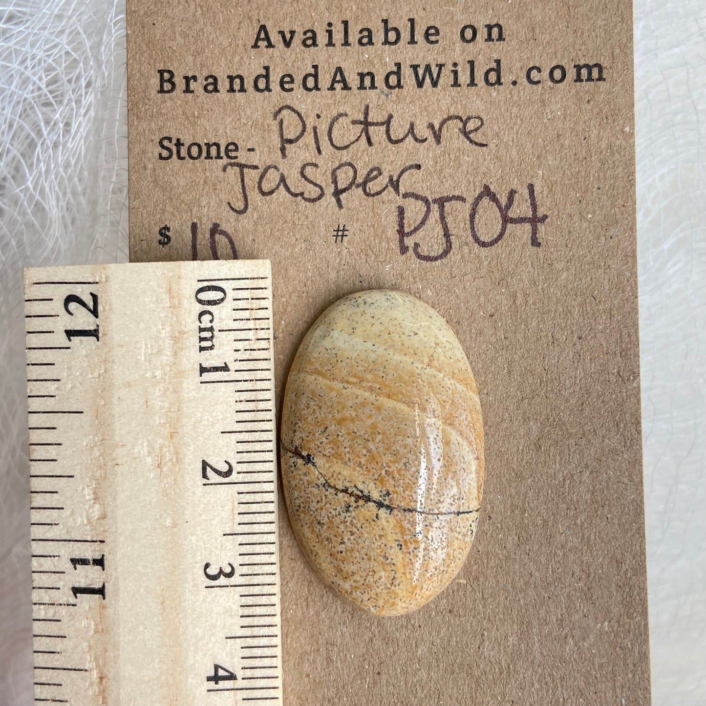 Picture Jasper Cabochon - PJ04
