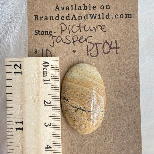 Picture Jasper Cabochon - PJ04