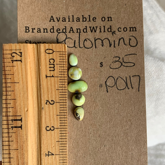 Palomino Cabochon - P0117