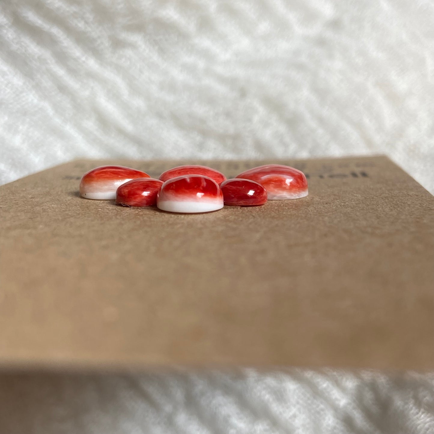 Oyster Shell Cabochon - OS84
