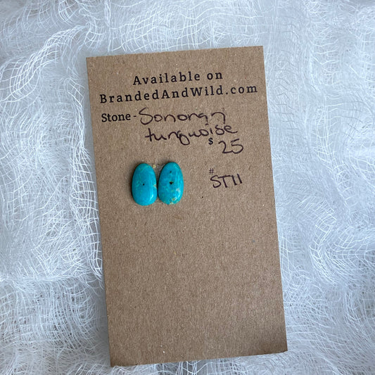 Sonoran Turquoise Cabochon - ST11