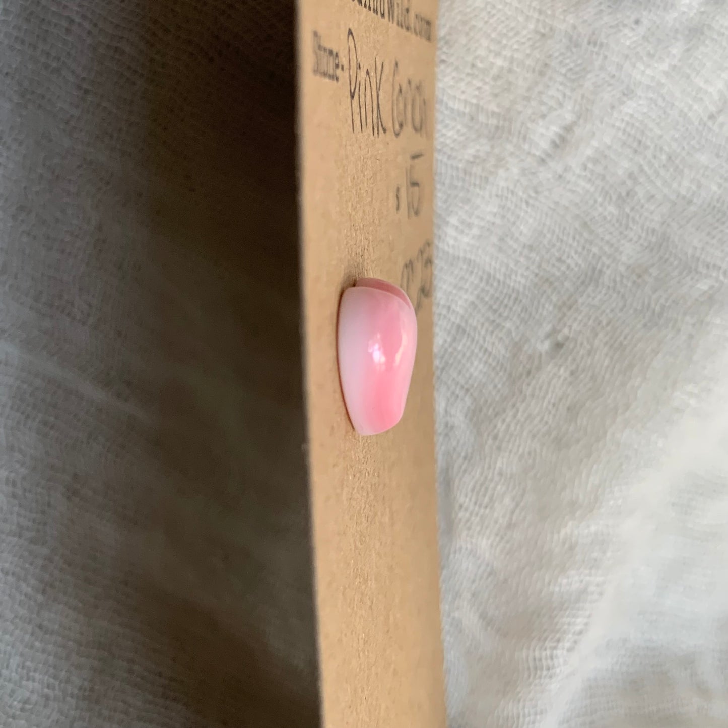 Pink Conch Cabochon - PC23