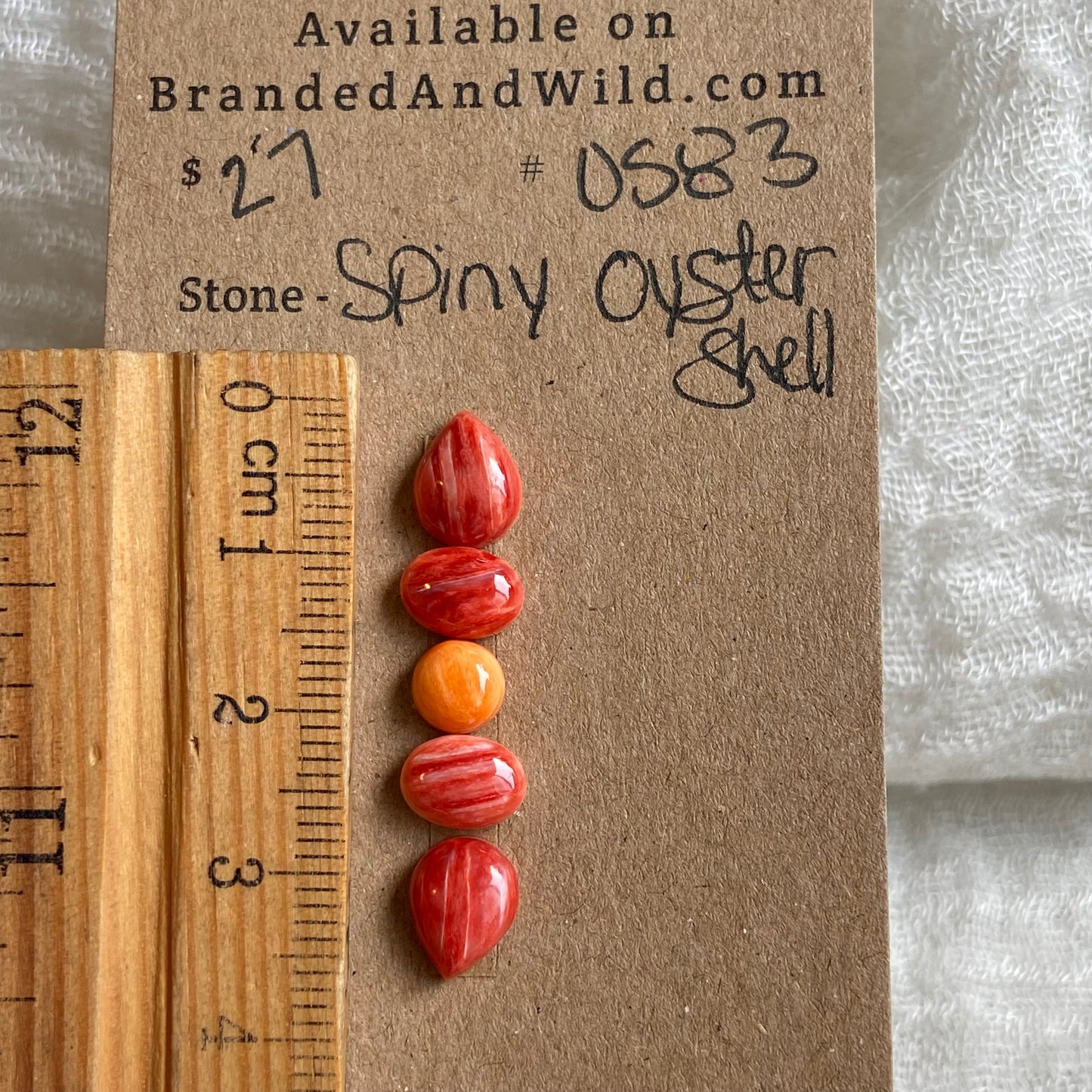 Oyster Shell Cabochon - OS83 AF8F6CDD-AD61-4CEA-AFED-587838E5217B Brandedandwild.com