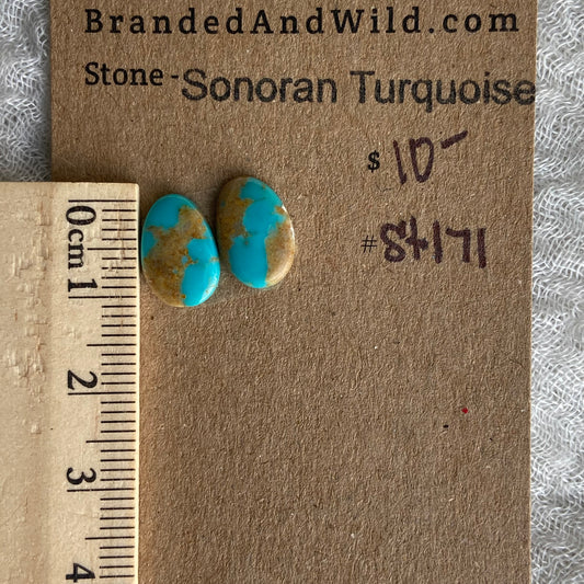 Sonoran Turquoise Cabochon - ST171