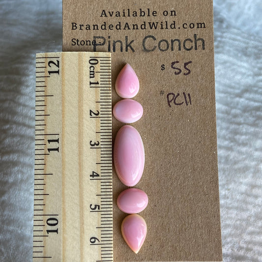 Pink Conch Cabochon - PC11