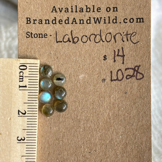 Labradorite Cabochon - L028