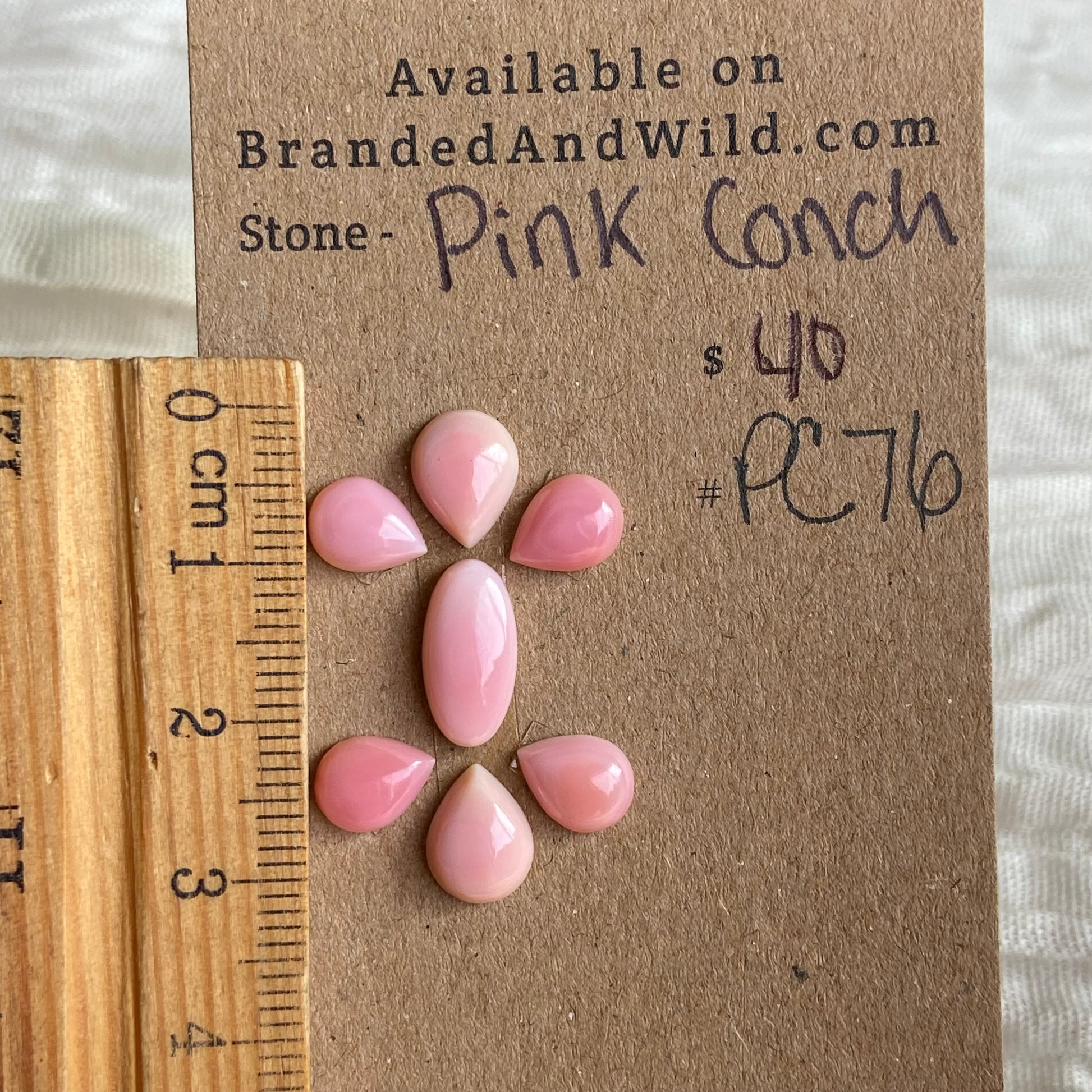 Pink Conch Cabochon - PC40 AFAAFCD2-A90A-4D22-A521-B6E9E43601C2 Brandedandwild.com