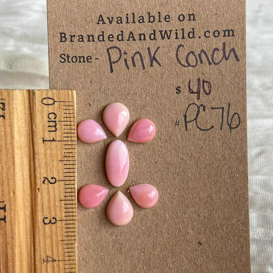 Pink Conch Cabochon - PC40 AFAAFCD2-A90A-4D22-A521-B6E9E43601C2 Brandedandwild.com