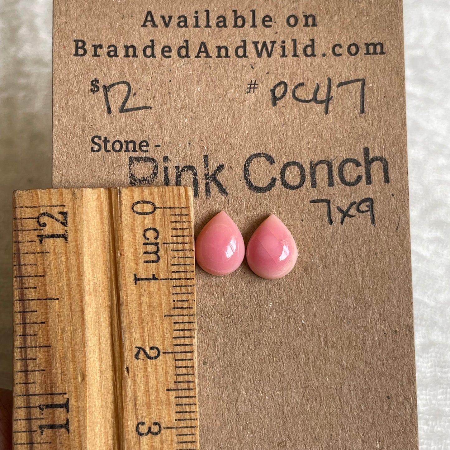 Pink Conch Cabochon - PC47