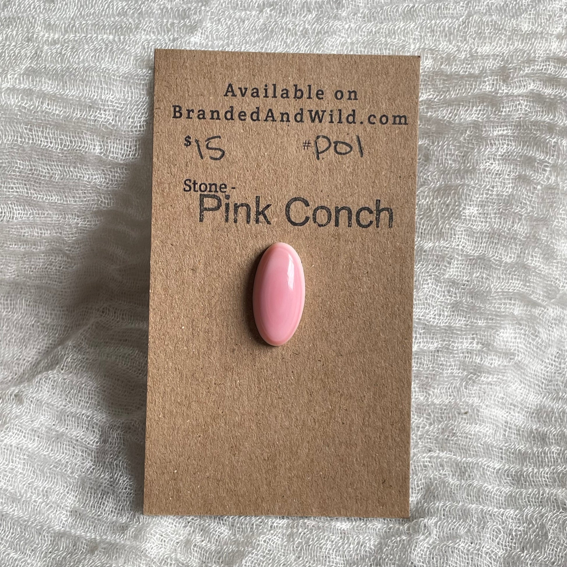 Pink Conch Cabochon - P01 AFEDC76C-ACF5-4775-8398-3B5E76E6F41D Brandedandwild.com