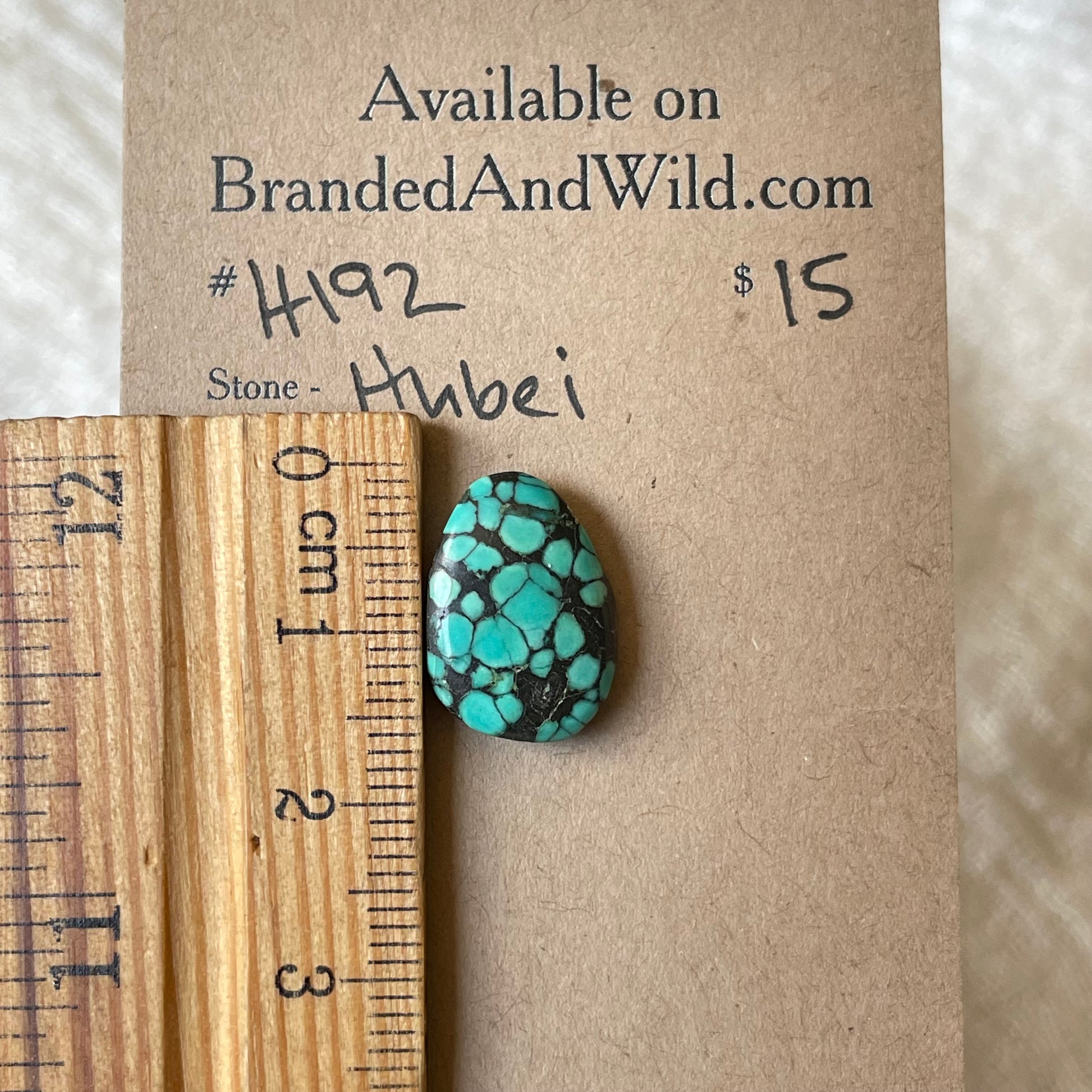 Hubei Turquoise Cabochon - H192 AFEE78FD-CB35-4875-AB93-7C117349A885 Brandedandwild.com