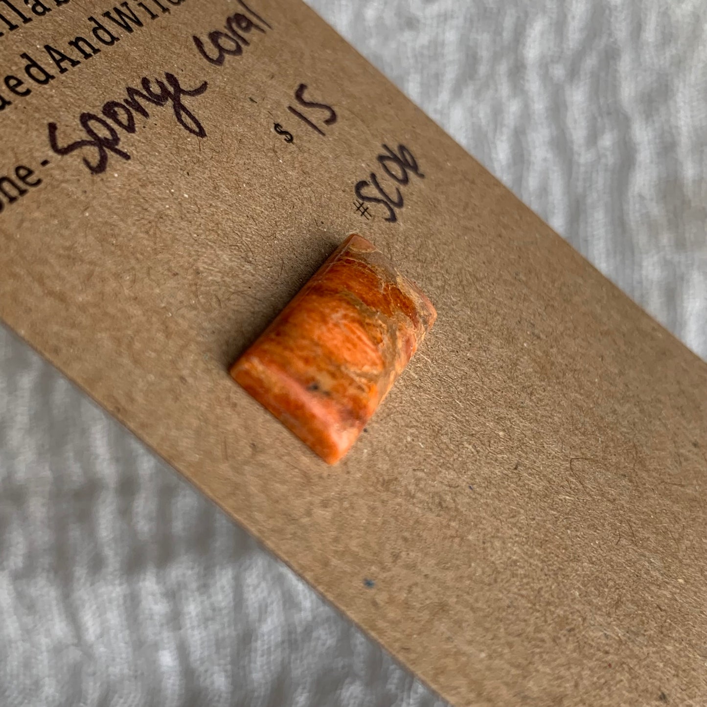 Sponge Coral Cabochon - SC06