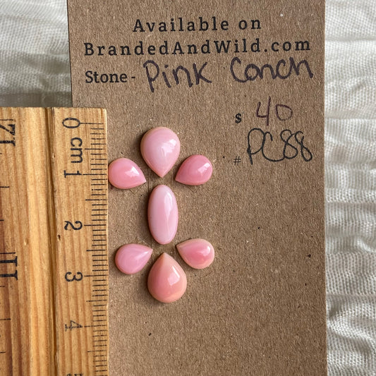Pink Conch Cabochon - PC88 B01C8071-A926-4F45-9065-D4F6BDAE7616 Brandedandwild.com