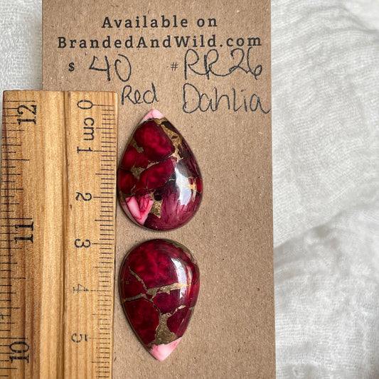 Red Dahlia Cabochon - RD26 B03ABADA-4EB4-4D97-BB1E-BC294C9C12CD Brandedandwild.com