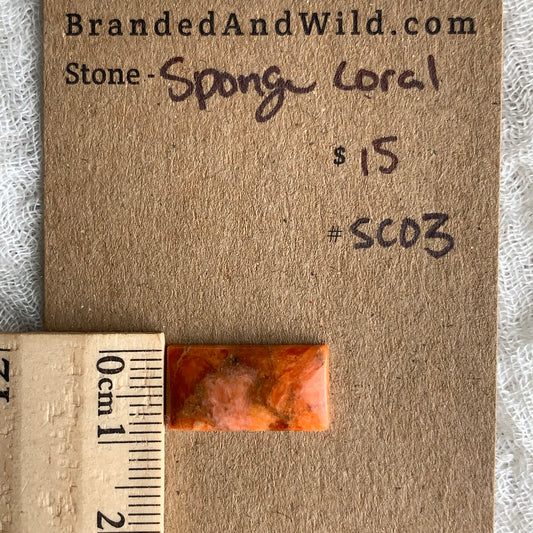 Sponge Coral Cabochon - SC03