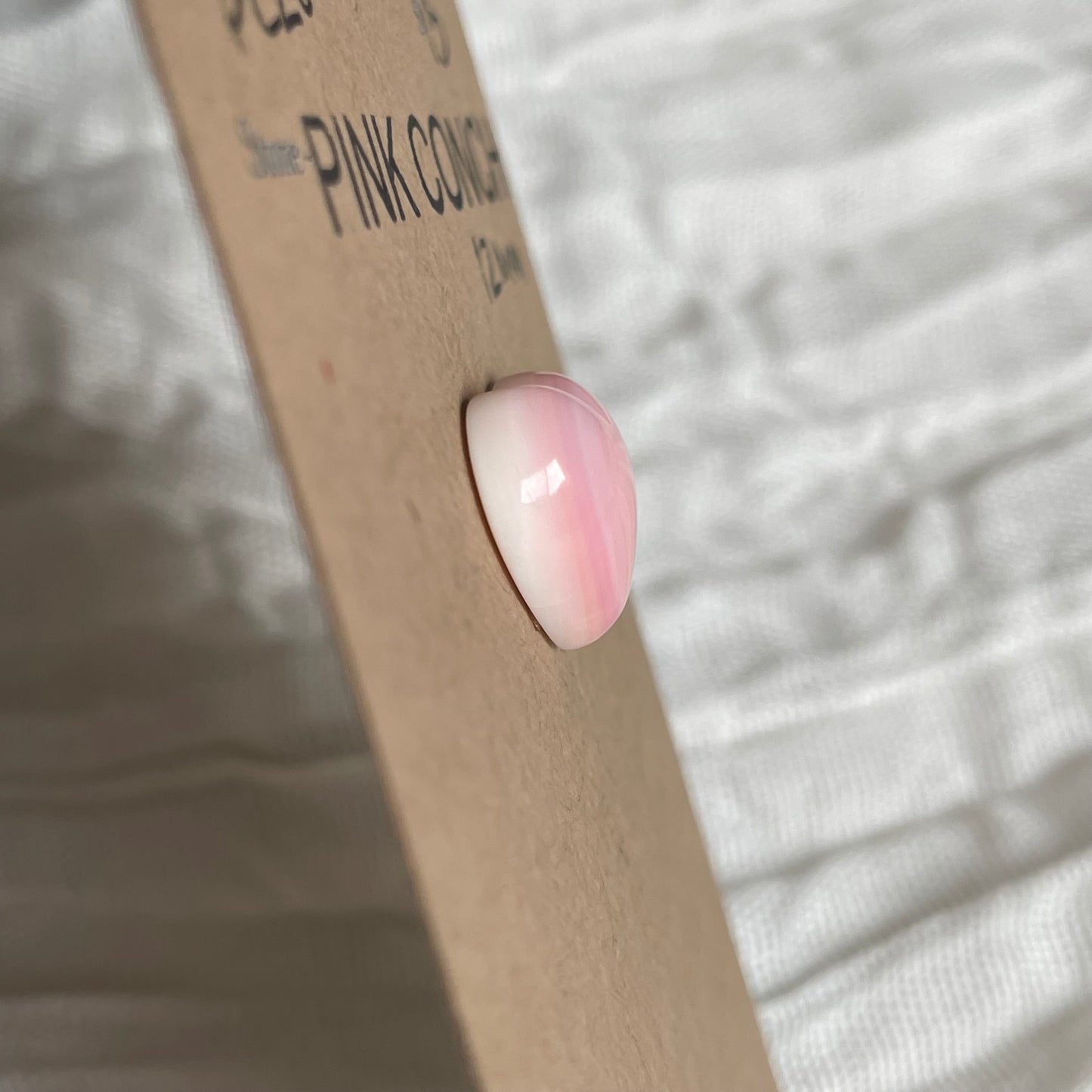 Pink Conch Cabochon - PC20 B053C162-A900-4219-A5F0-E7885F734BC8 Brandedandwild.com
