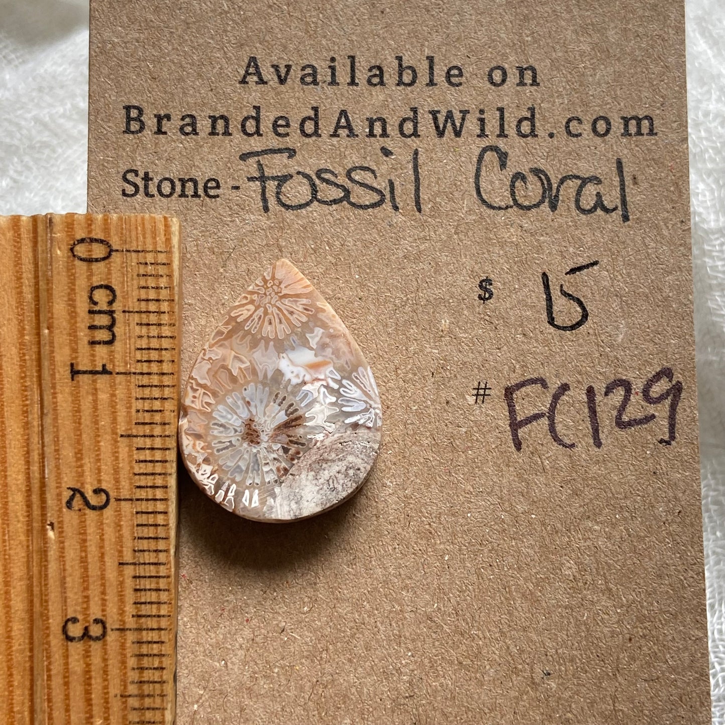 Fossil Coral Cabochon - FC129